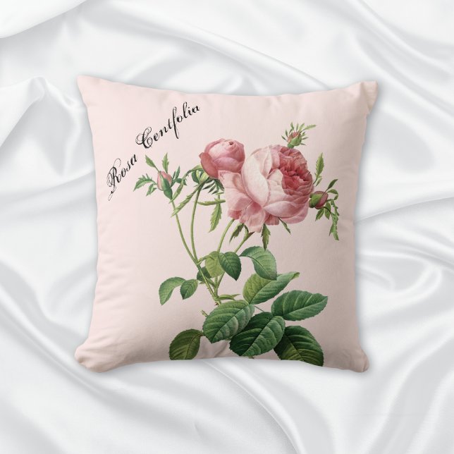 Coussin Rose botanique (Créateur téléchargé)