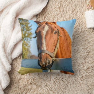 Coussin Rose Crépuscule   Cheval de course Pur-sang