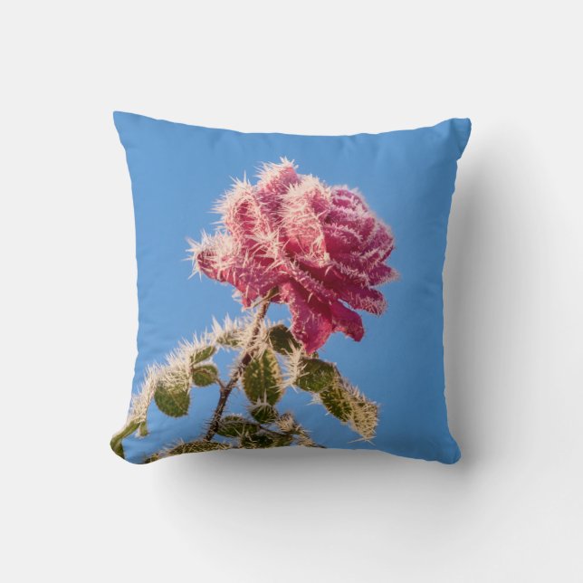Coussin Rose rose avec givre glacée dans une nature hivern (Recto)