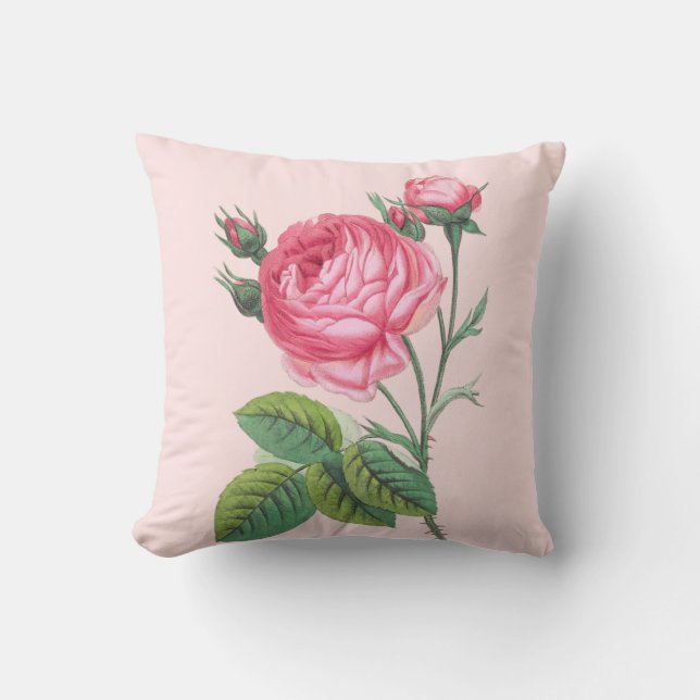 Coussin Rose rose floral moderne rose pastel (Recto)