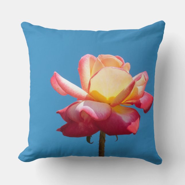Coussin rose rose rose rose (Recto)