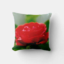 Coussin Rose rouge de la passion couverte de gouttes de ro