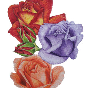 Coussin roses aquarelle et bourgeons roses cottagegore fle