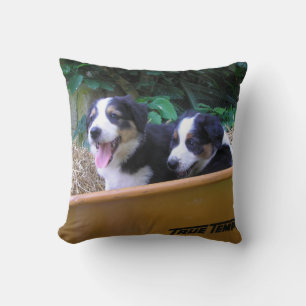 Coussin Roue
