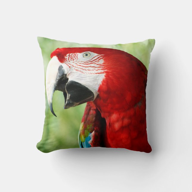 Coussin Rouge brillant (Recto)