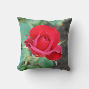 Coussin Rouge rose