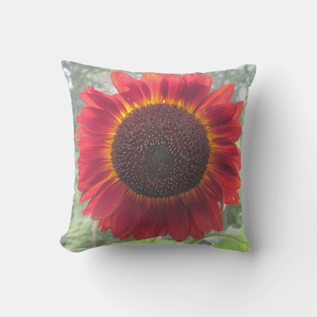 Coussin rouge rouillé de tournesol (Recto)