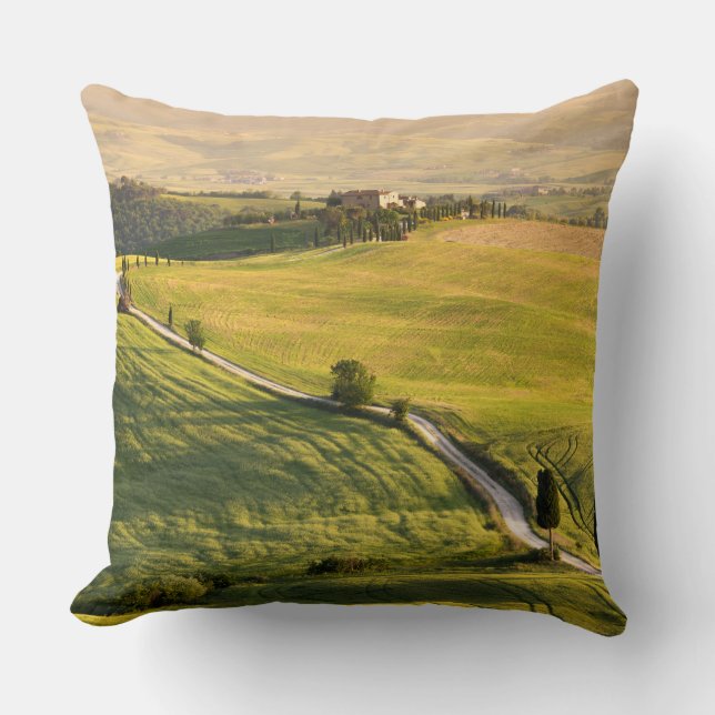 Coussin Route blanche dans le carreau de paysage de la (Recto)