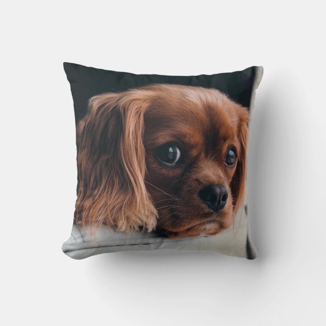 Coussin Ruby Cavalier King Charles Spaniel Chien (Recto)