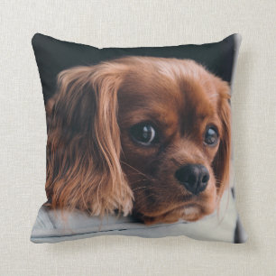 Coussin Ruby Cavalier King Charles Spaniel Chien