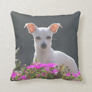 Coussin Ruca