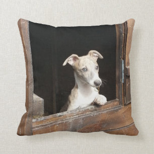 Coussin rustique