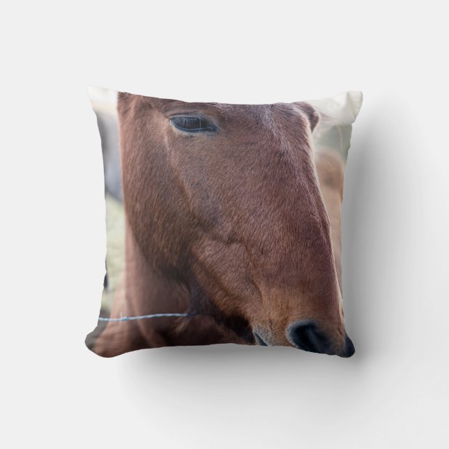 COUSSIN SAD HORSE (Recto)