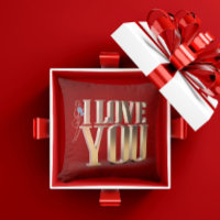 Saint Valentin Rouge 3D Je t'aime Jouer l'oreiller