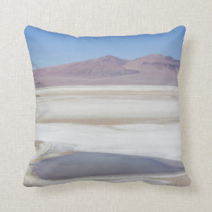 Coussin Salt Lake sur la route vers l'Argentine