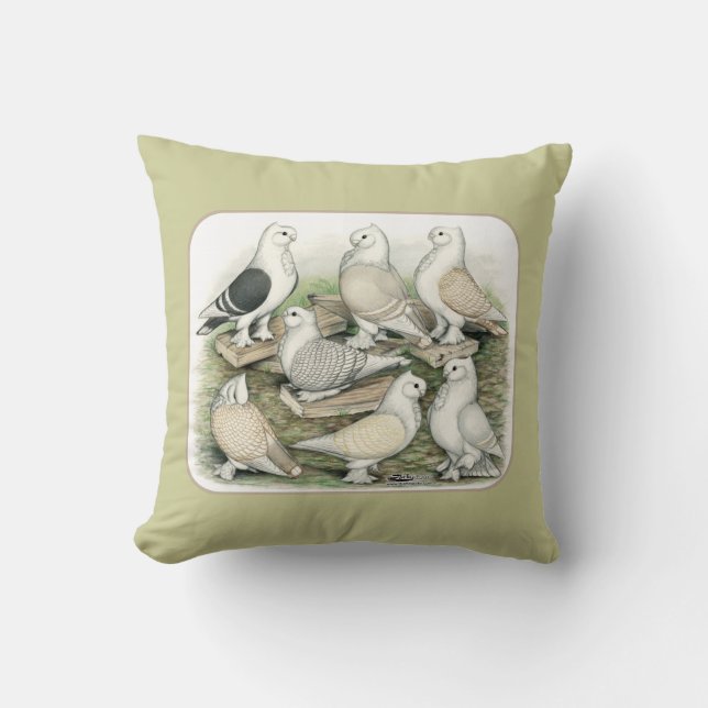 Coussin Satinettes de pigeons de frill classique (Recto)