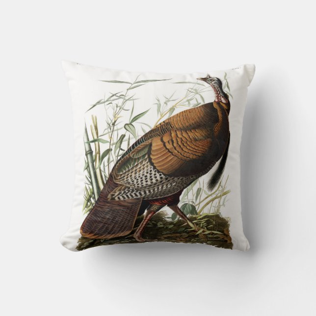 Coussin sauvage américain de la Turquie, coussin (Recto)