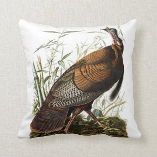 Coussin sauvage américain de la Turquie, coussin