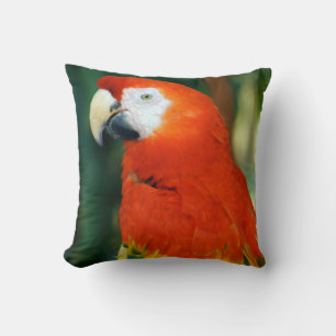 Coussin Scarlet Macaw
