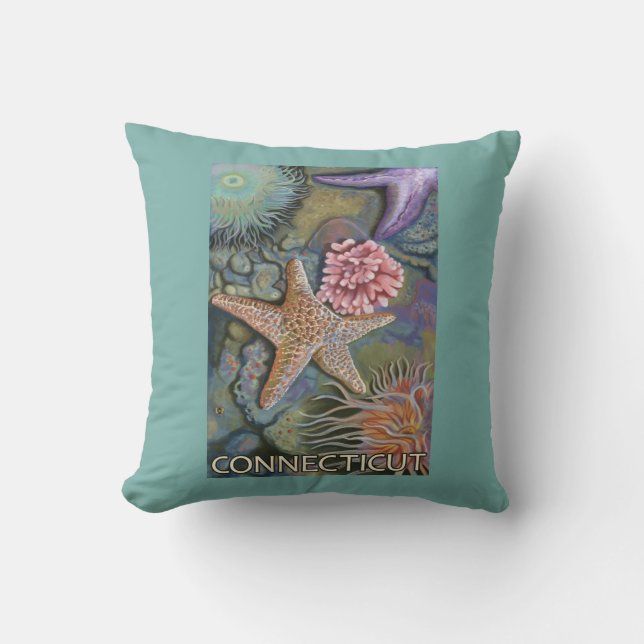 Coussin Scène de ConnecticutTidepool (Recto)