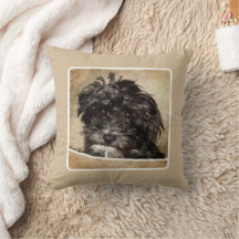 Schnoodle Pepple Thlow Pillow