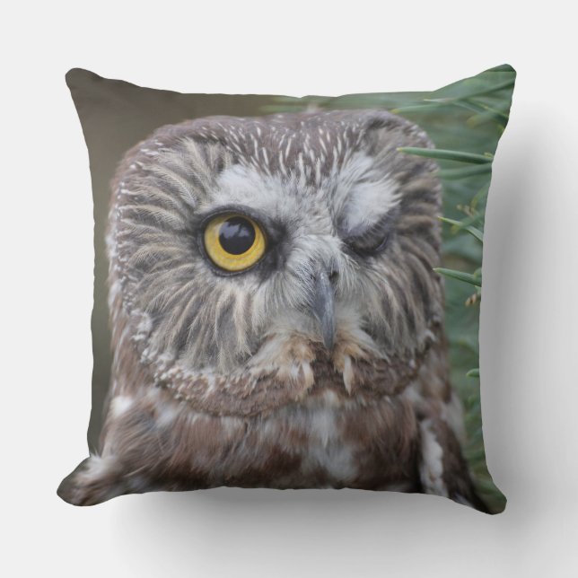 Coussin Scie-affûtez le hibou (Recto)