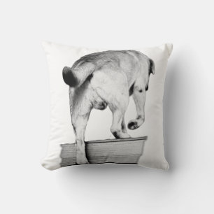 Coussin Se Diriger Vers Les Nuits De Récolte