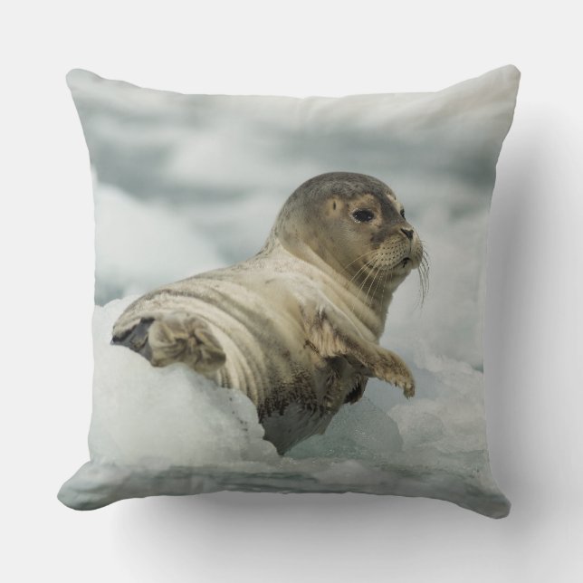 Coussin Seal bébé doux (Recto)