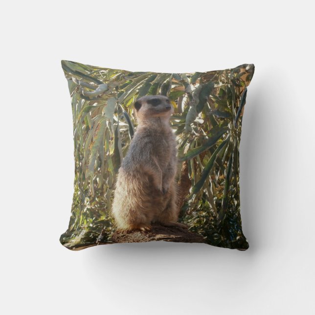 Coussin Sentinelle de garde : Meerkat sur fond vert luxuri (Recto)