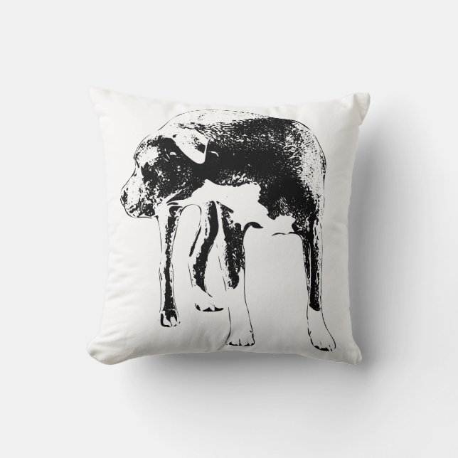 Coussin Sentinelle de la trajectoire de lanterne (Recto)