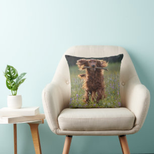 Coussin Setter Irlandais courant avec un bâton