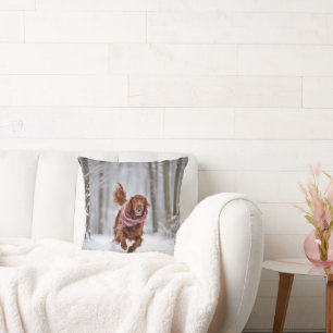 Coussin Setter Irlandais Dans La Neige
