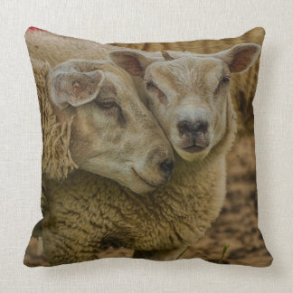 Coussin sheep