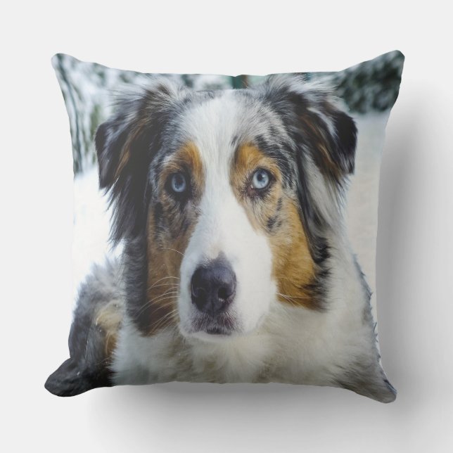 Coussin Shepard Australien En Neige (Recto)