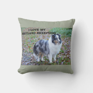 Coussin shetland-sheepdog-bleu merle blanc tan love w pic.