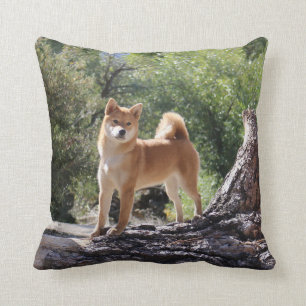 Coussin Shiba Inu