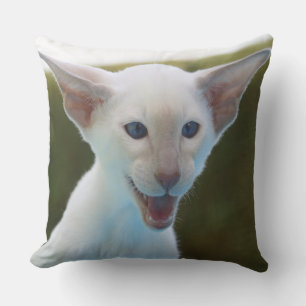 Coussin Siamese idiot