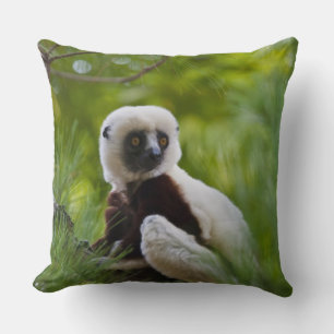 Coussin Sifaka de Coquerel dans la forêt 2