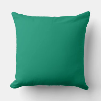 Coussin Simple minimaliste couleur verte simple