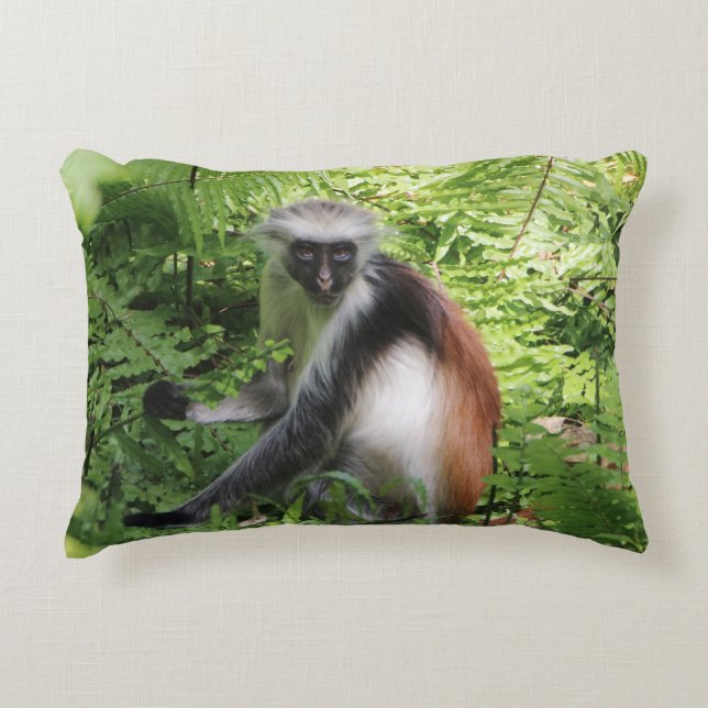Coussin singe (Devant)