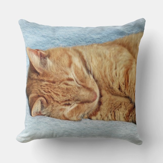 Coussin Sleepy Kitty (Recto)
