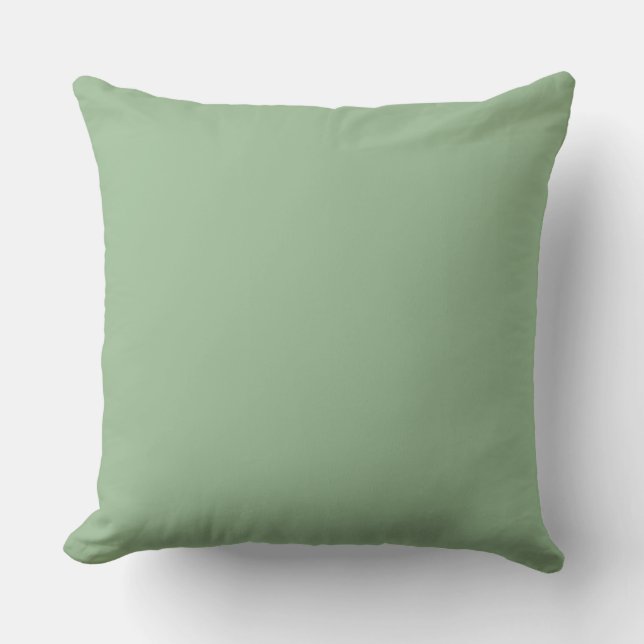 Coussin Soft Green,Lovely, Solid, Modern, Simple, Trendy (Recto)