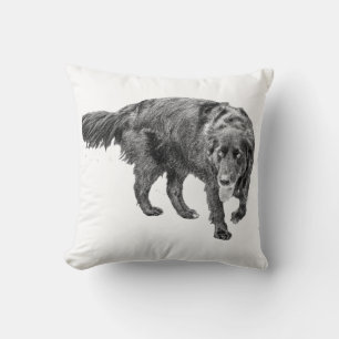 Coussin Soirée Confort du Gardien