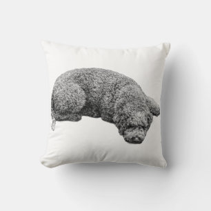 Coussin Soirée de récolte calme