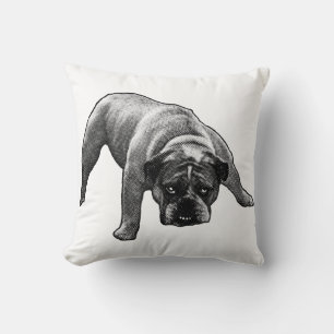 Coussin Soirée Nook Sentinel