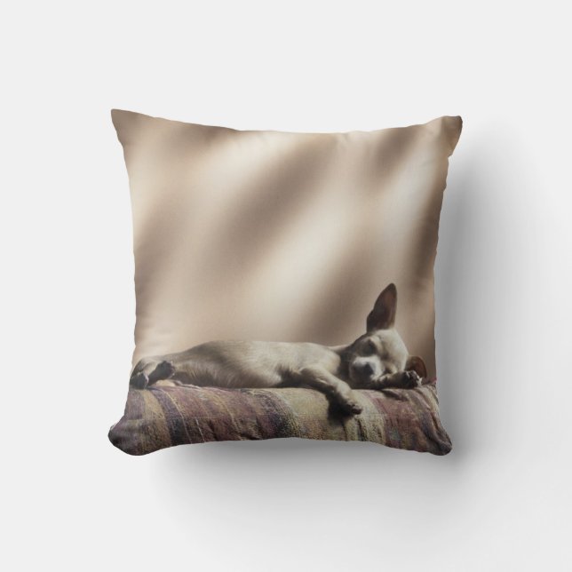 Coussin somnolent de chiot (Recto)