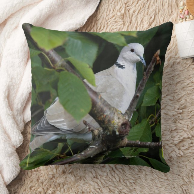 Coussin Songbird de colombe à collier eurasien sur cerisie (Couverture)