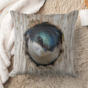 Coussin Songeur d'hirondelle d'arbre dans Nestbox