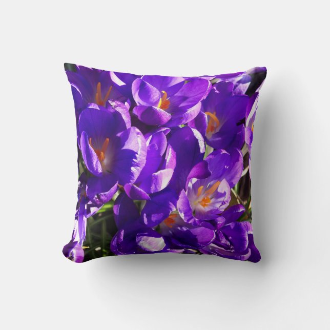 COUSSIN SPRING CROCUS (Recto)