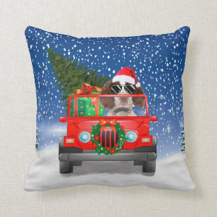Coussin Springer anglais Spaniel chien avec cadeaux de No